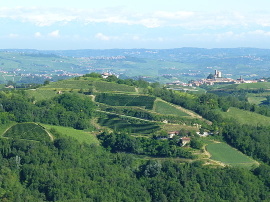Cascina Mucci im Sommer von vis-à-vis